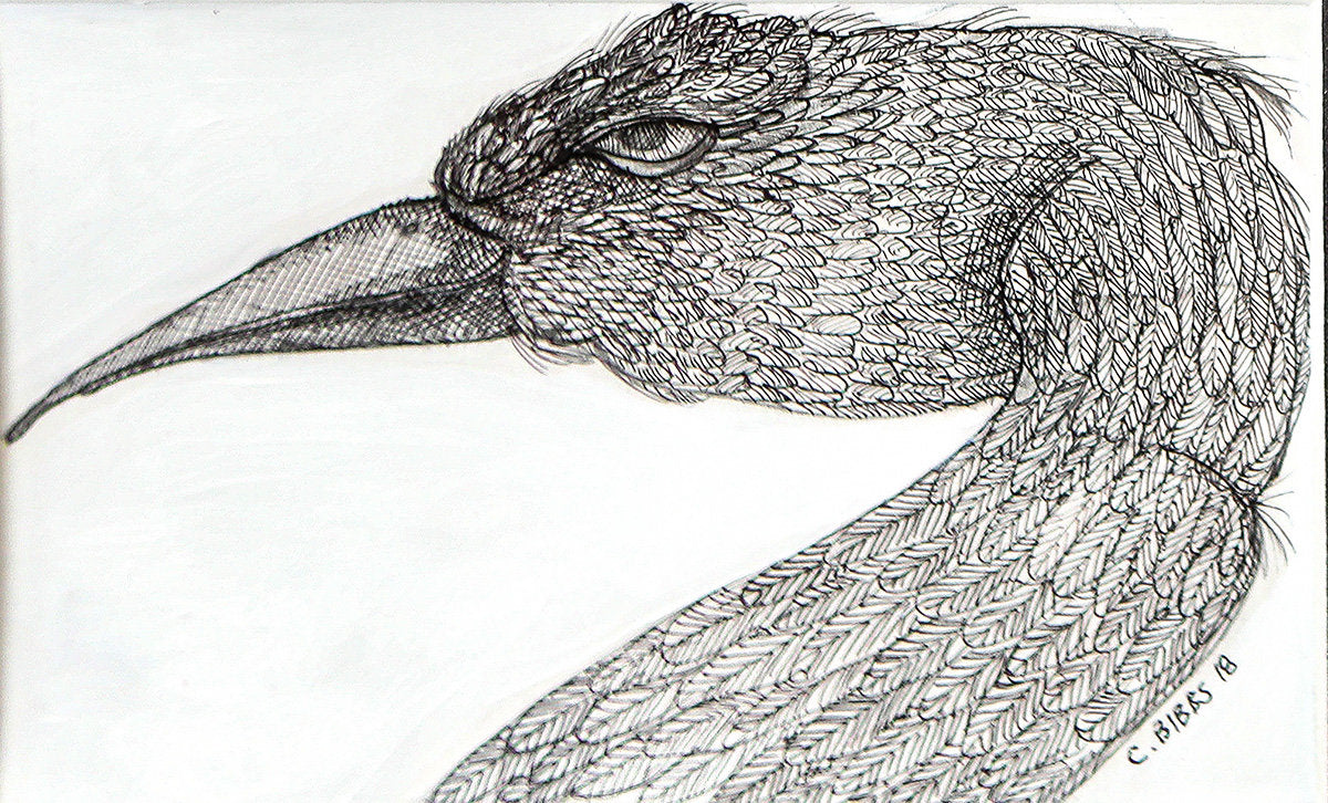 Detail of Bird Head by Charles A. Bibbs