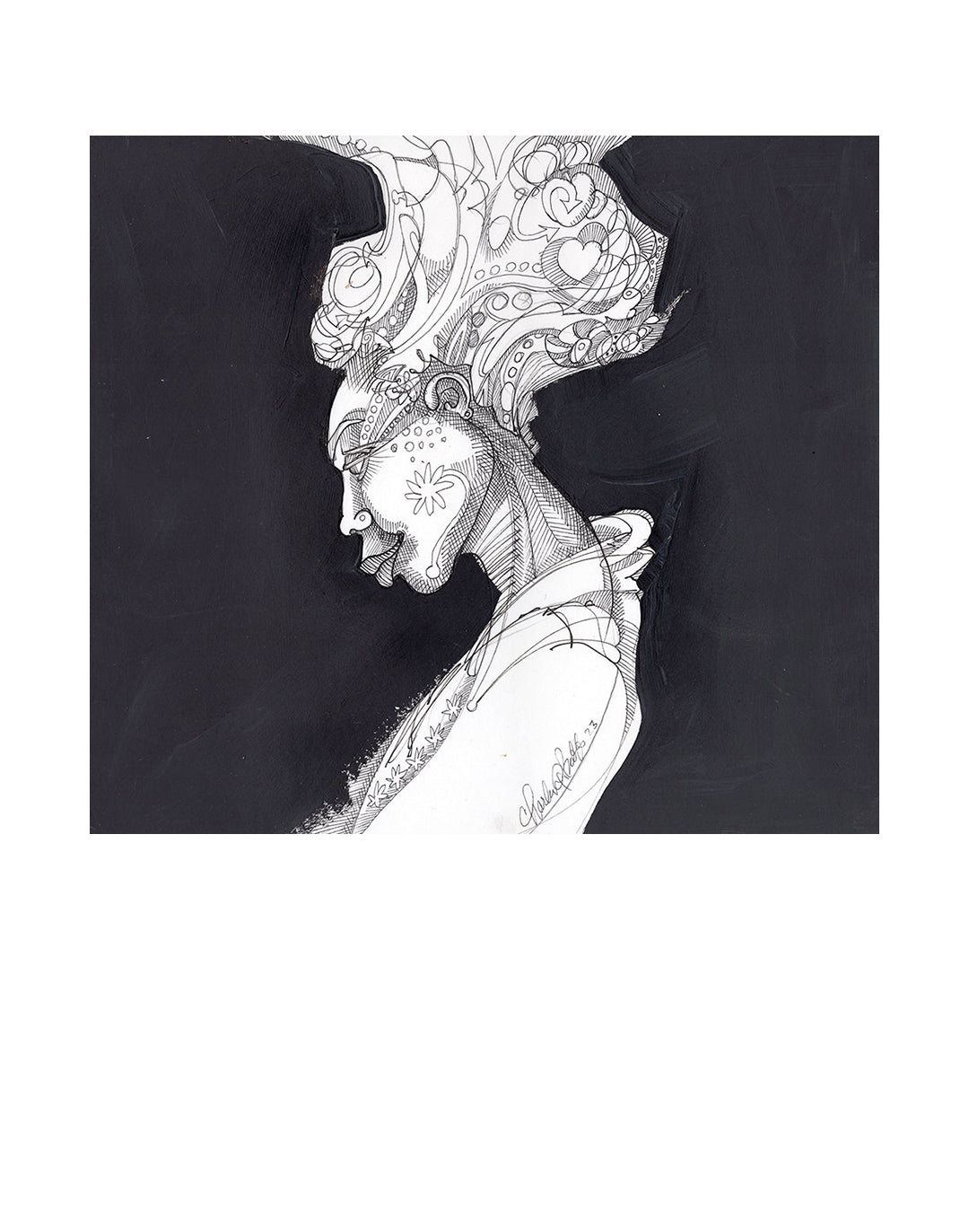 Hair Evolution — original artwork by Charles A. Bibbs
