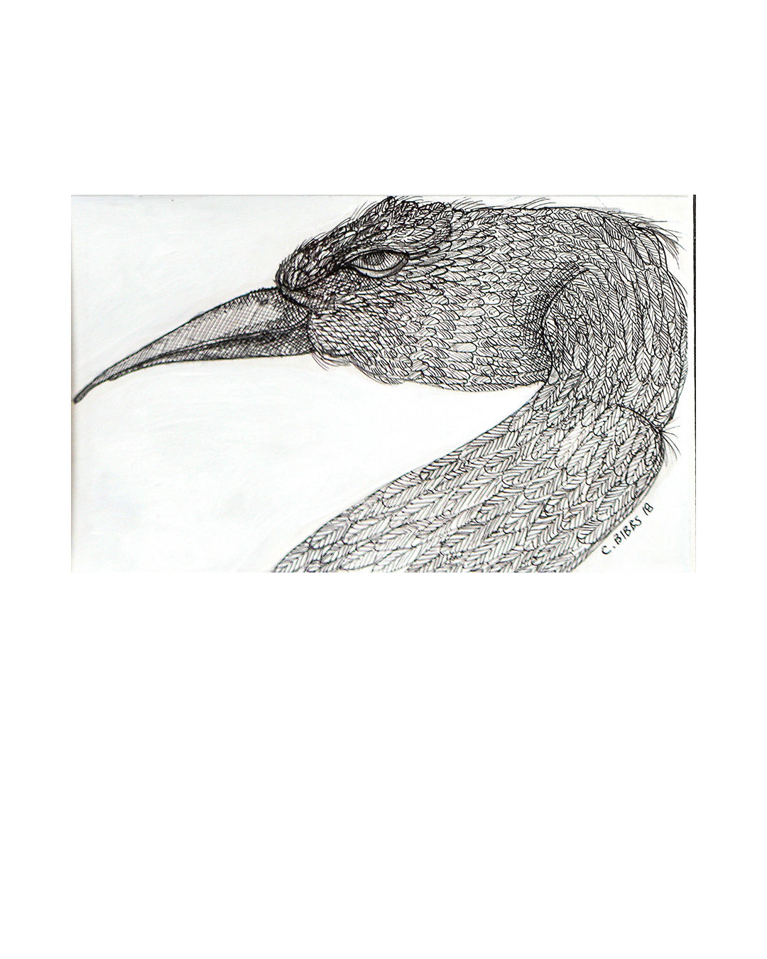 Bird Head — original artwork by Charles A. Bibbs